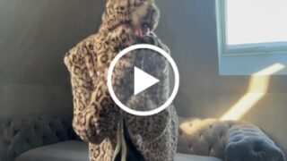 Miau Leo Steffi will Spaß