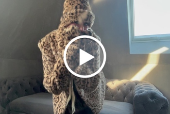 Miau Leo Steffi will Spaß