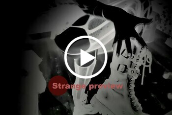 Seltsame Vorschau 2021